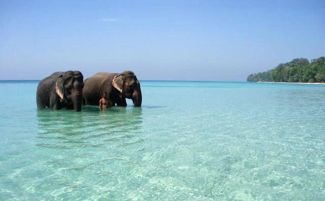 Havelock Islands